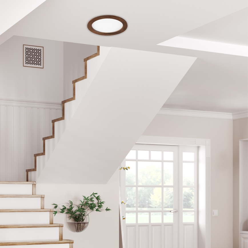 LED upotettava valo WOODY SPOT LED/23,5W/230V 4000K kirsikka ø 23,5 cm