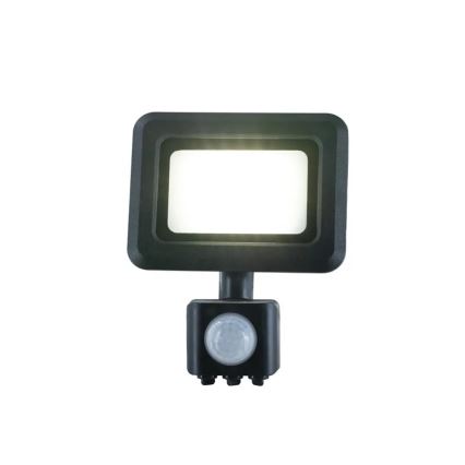 LED-valonheitin anturilla LED/10W/230V 4000K IP44