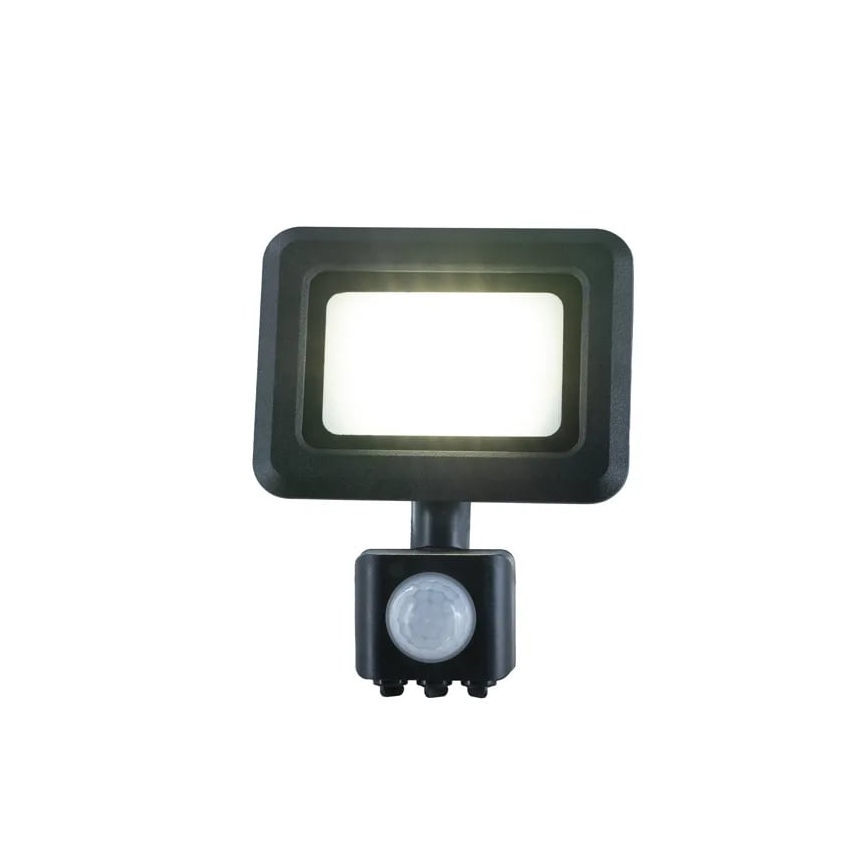 LED-valonheitin anturilla LED/10W/230V 4000K IP44