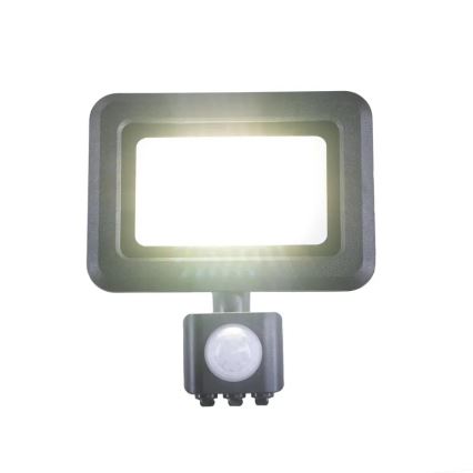LED-valonheitin anturilla LED/20W/230V 4000K IP44