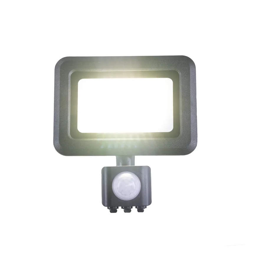 LED-valonheitin anturilla LED/20W/230V 4000K IP44