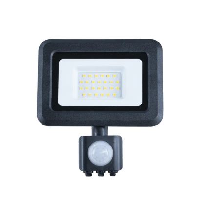 LED-valonheitin anturilla LED/20W/230V 4000K IP44