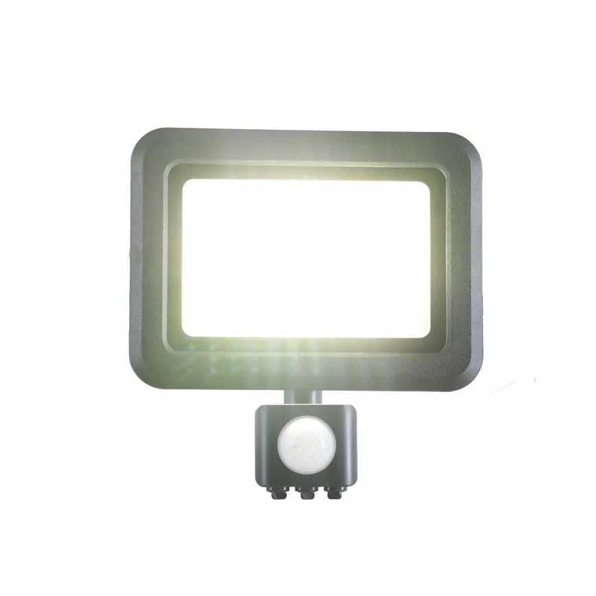 LED-valonheitin anturilla LED/30W/230V 4000K IP44