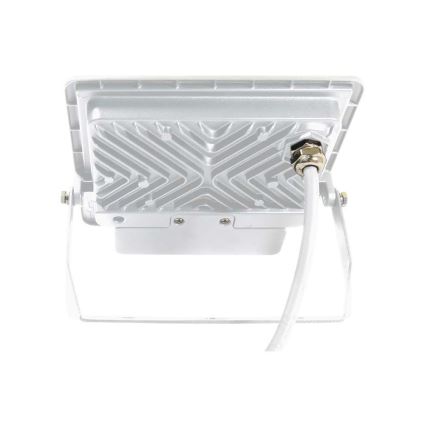 LED-valonheitin anturilla LED/50W/230V 4000K IP65 valkoinen