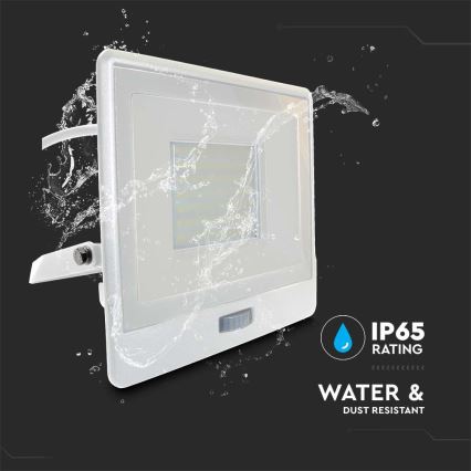 LED-valonheitin anturilla LED/50W/230V 4000K IP65 valkoinen