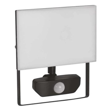 LED-valonheitin anturilla TAMBO LED/30W/230V 4000K IP54