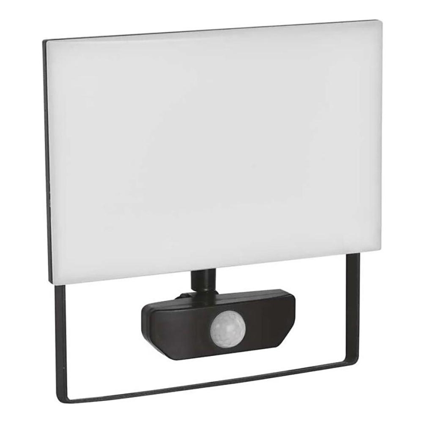 LED-valonheitin anturilla TAMBO LED/50W/230V 4000K IP54