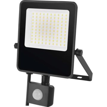 LED-valonheitin anturilla VISIO LED/50W/230V 4000K IP65