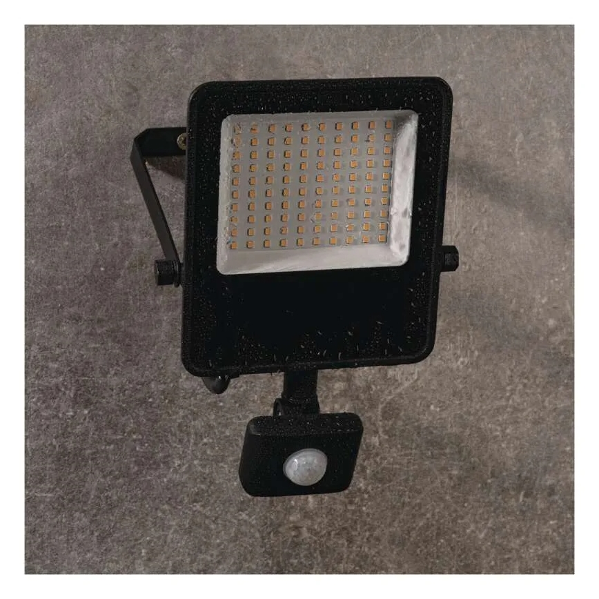 LED-valonheitin anturilla VISIO LED/50W/230V 4000K IP65