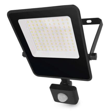 LED-valonheitin anturilla VISIO LED/50W/230V 4000K IP65