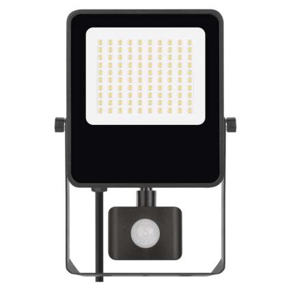 LED-valonheitin anturilla VISIO LED/50W/230V 4000K IP65