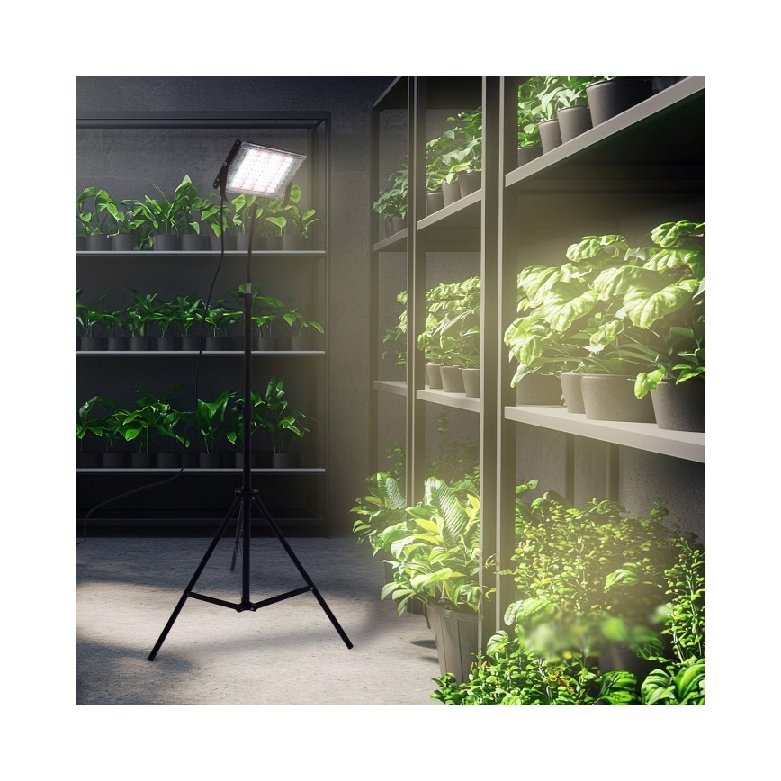 LED Valonheitin jalustalla kasvien kasvattamiseen FIRON LED/45W/230V IP54 musta