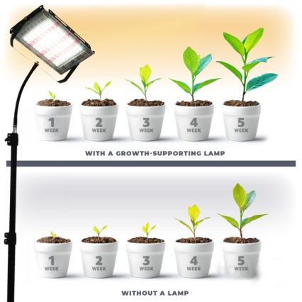 LED Valonheitin jalustalla kasvien kasvattamiseen FIRON LED/45W/230V IP54 musta