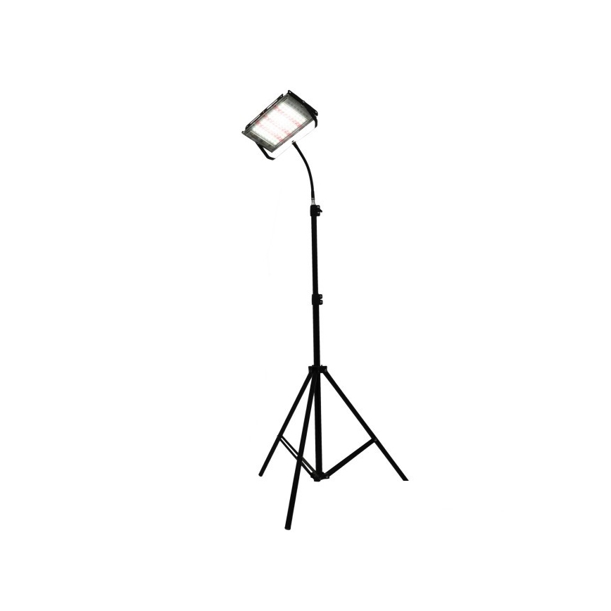 LED Valonheitin jalustalla kasvien kasvattamiseen FIRON LED/45W/230V IP54 musta