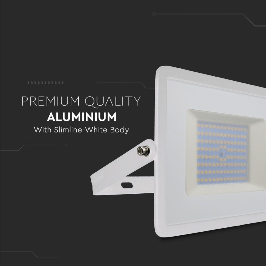 LED-valonheitin LED/100W/230V 6500K IP65 valkoinen