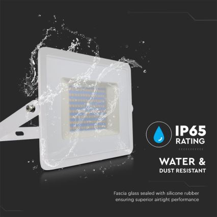 LED-valonheitin LED/100W/230V 6500K IP65 valkoinen