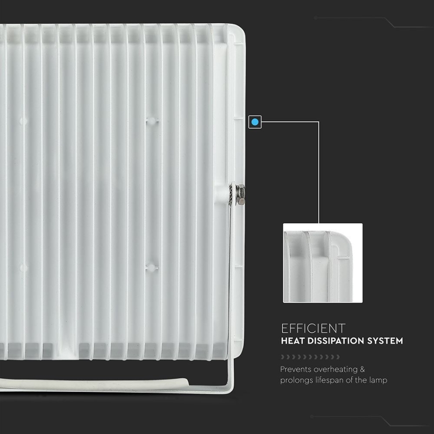 LED-valonheitin LED/100W/230V 6500K IP65 valkoinen