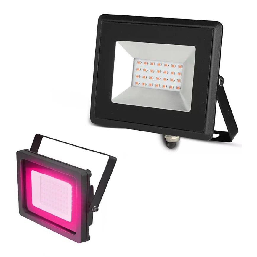 LED-valonheitin LED/20W/230V IP65 vaaleanpunainen kevyt