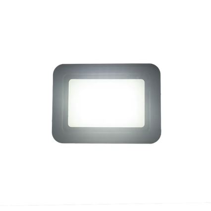 LED-valonheitin LED/30W/230V 4000K IP65