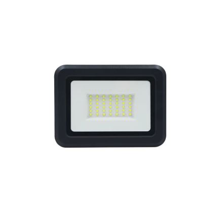 LED-valonheitin LED/30W/230V 4000K IP65