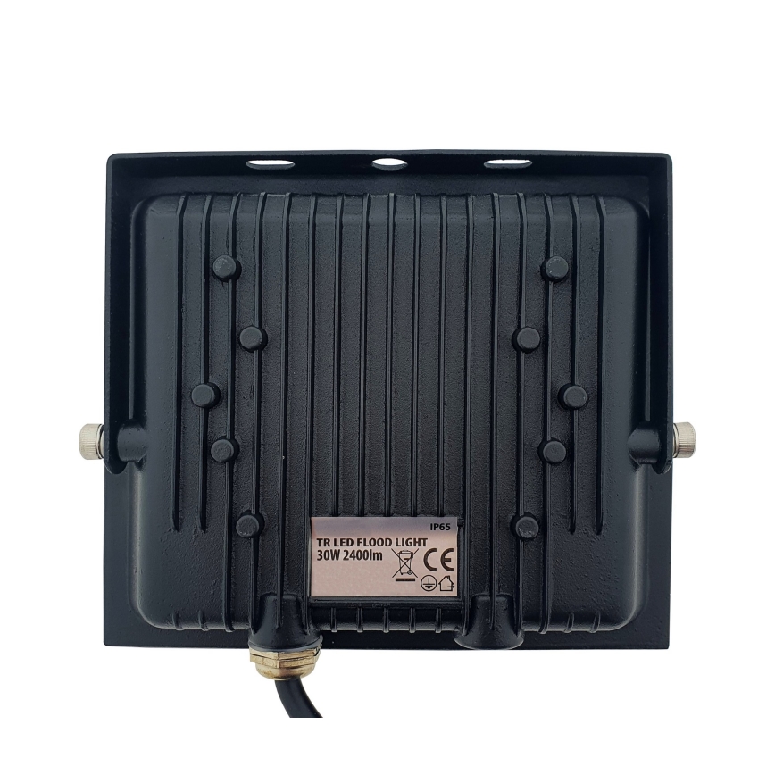 LED-valonheitin LED/30W/230V IP65