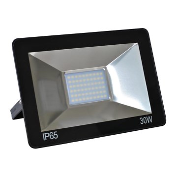 LED-valonheitin LED/30W/230V IP65