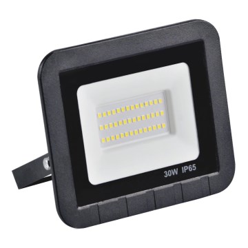LED-valonheitin LED/30W/230V IP65
