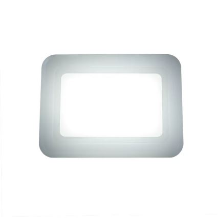 LED-valonheitin LED/50W/230V 4000K IP65