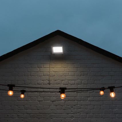 LED-valonheitin LED/50W/230V IP65 3000/4000/6500K harmaa