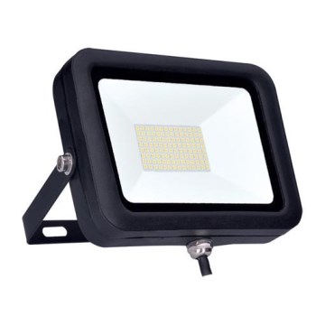 LED-valonheitin PRO LED/100W/230V IP65
