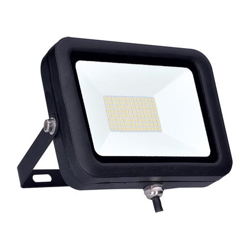 LED-valonheitin PRO LED/100W/230V IP65