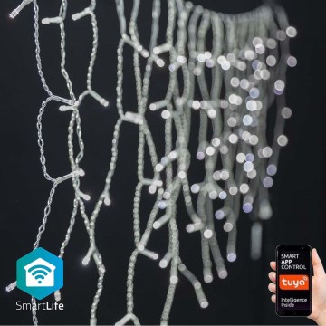 LED Valoverho ulkokäyttöön 400xLED/8 toimintoa 11m IP65 Wi-Fi Tuya kylmä valkoinen