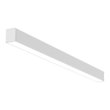 LED2 - Himmennettävä LED-kattovalaisin NOLI LED/40W/230V 3000K/3500K/4000K valkoinen