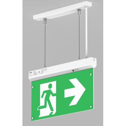 LED2 - LED Hätävalo SAFE ALL LED/2W/3,6V 6000K IP40