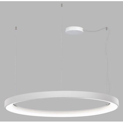 LED2 - LED-himmennettävä kattokruunu johdossa BELLA LED/80W/230V 3000K/4000K valkoinen