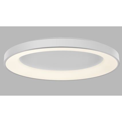 LED2 - LED Himmennettävä kattovalo BELLA LED/80W/230V 3000K/4000K valkoinen