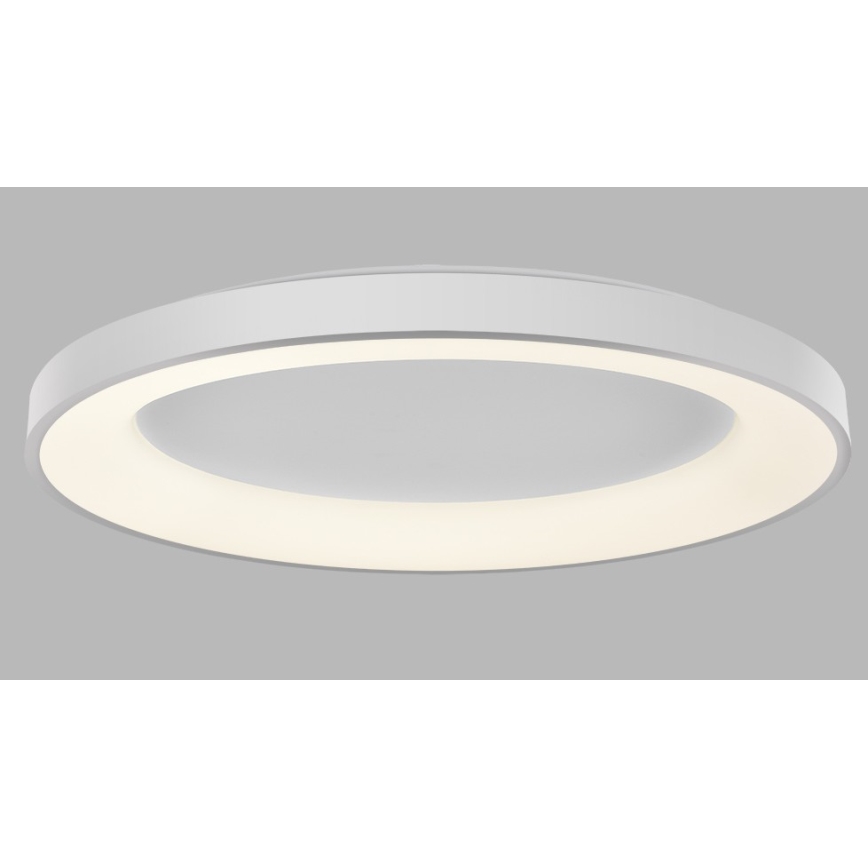 LED2 - LED Himmennettävä kattovalo BELLA LED/80W/230V 3000K/4000K valkoinen