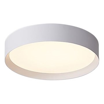 LED2 - LED Himmennettävä kattovalo MILA LED/30W/230V
