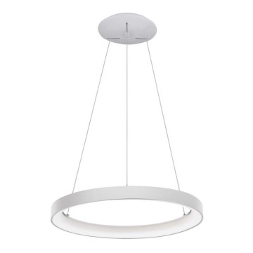 LED2 - LED Kattokruunu johdossa BELLA LED/48W/230V 3000K/4000K valkoinen