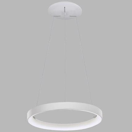 LED2 - LED Kattokruunu johdossa BELLA LED/48W/230V 3000K/4000K valkoinen