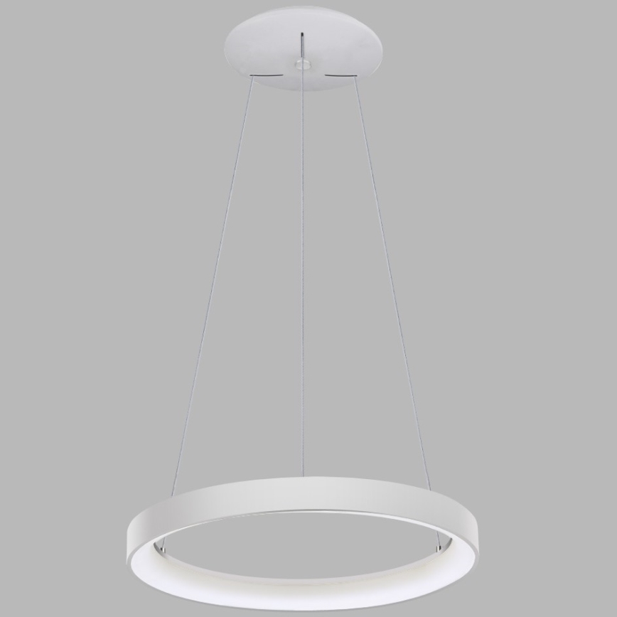 LED2 - LED Kattokruunu johdossa BELLA LED/48W/230V 3000K/4000K valkoinen