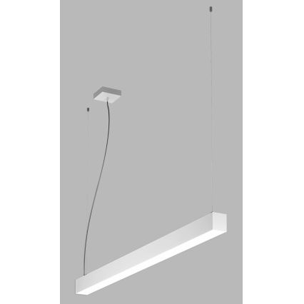 LED2 - LED-kattokruunu johdossa NOLI LED/40W/230V 3000K/3500K/4000K valkoinen