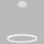LED2 - LED-kattokruunu narussa CIRCLE LED/42W/230V