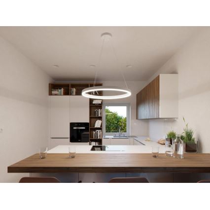 LED2 - LED-kattokruunu narussa CIRCLE LED/42W/230V