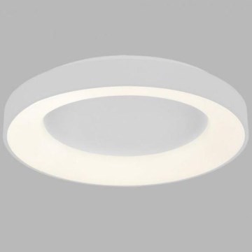 LED2 - LED-kattovalaisin BELLA LED/40W/230V 3000/4000K valkoinen