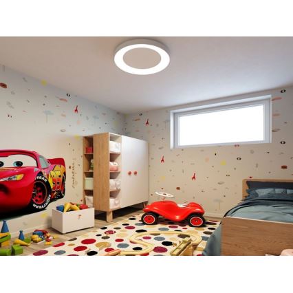 LED2 - LED-kattovalaisin BELLA LED/40W/230V 3000/4000K valkoinen