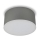 LED2 - LED-kattovalaisin BUTTON LED/17W/230V hopea