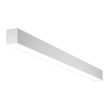 LED2 - LED Kattovalaisin NOLI LED/40W/230V 3000K/3500K/4000K valkoinen