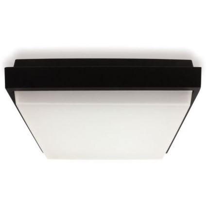 LED2 - LED-ulkokattovalaisin QUADO LED/10W/230V antrasiitti IP54