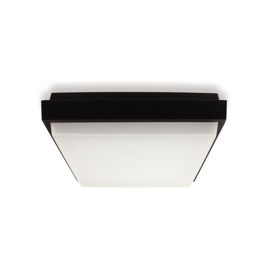 LED2 - LED-ulkokattovalaisin QUADO LED/10W/230V antrasiitti IP54